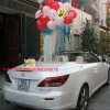 xe hoa dia lan trang duoi xe lexus.jpg